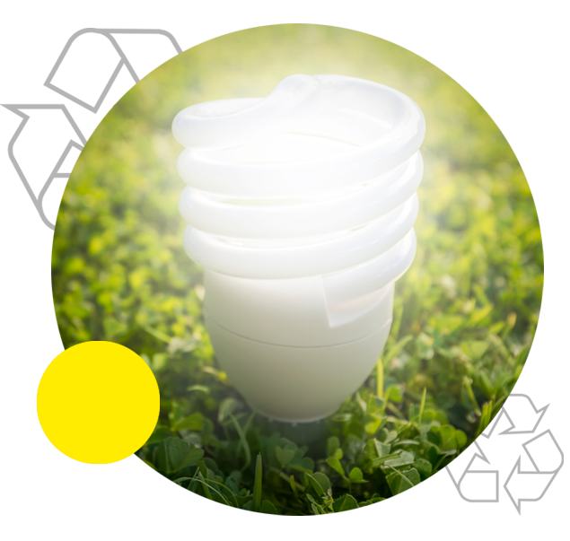 environmental fluorescent bulb collection environmental fluorescent bulb collection